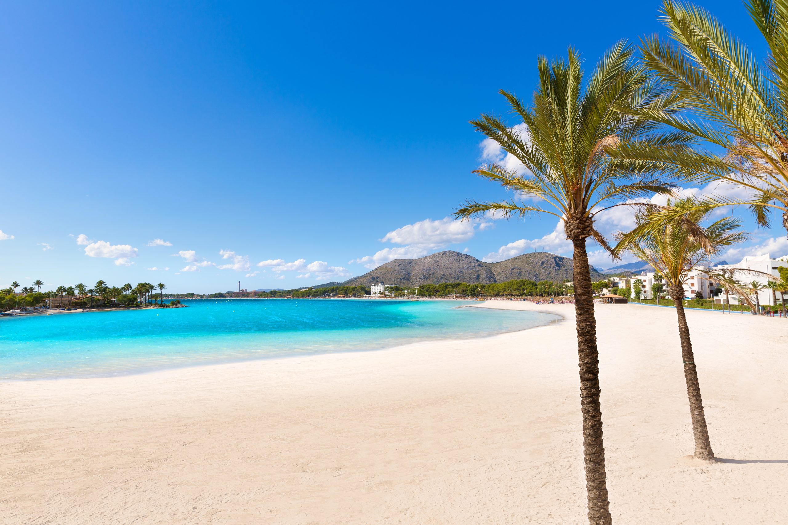 Alcudia Strand Mallorca Scaled 